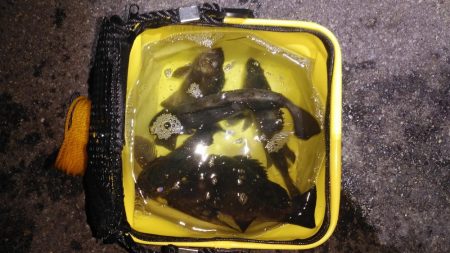 ハードでいくぜ