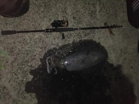 初春のキロアップ