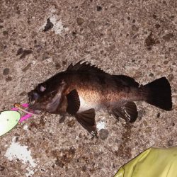 めっちゃ引きます