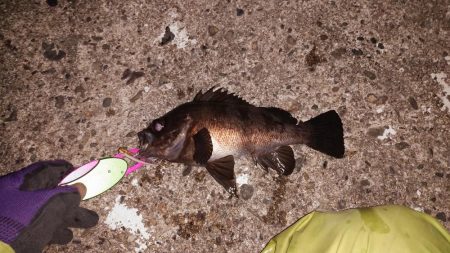 めっちゃ引きます