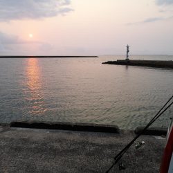 まだ釣れる太刀魚