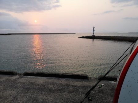 まだ釣れる太刀魚