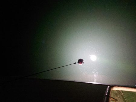 夕マズメから夜