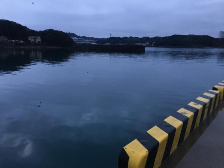 アジ15匹、尺アジ1匹