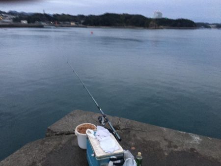 アジ5匹、ガシラ1匹