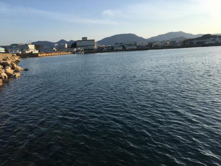 タイ1匹(20㎝)、フグ3匹