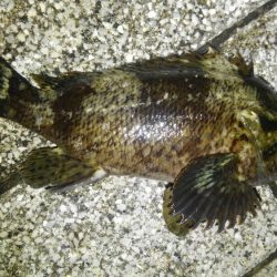 湾奥ロックゲーム!