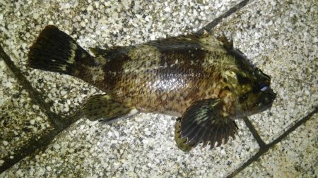 湾奥ロックゲーム!