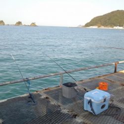 フィッシグパーク新形コロナウイルスによる閉園からの再開!!