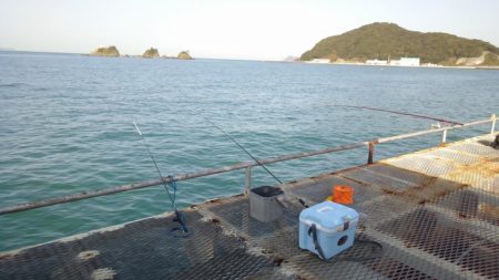 フィッシグパーク新形コロナウイルスによる閉園からの再開!!