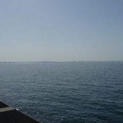 ボウズのがれたぁ