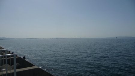 ボウズのがれたぁ