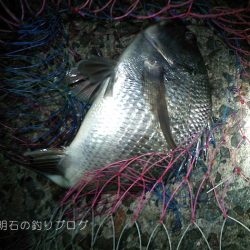 乗っ込みの気配