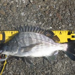 海釣り卒業記念