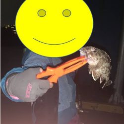 のんびりアジングと尺アジ情報