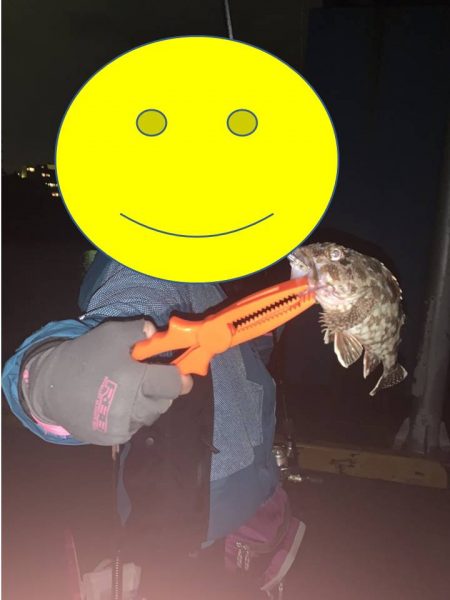 のんびりアジングと尺アジ情報