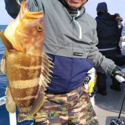 遊漁船 新鋭丸 釣果