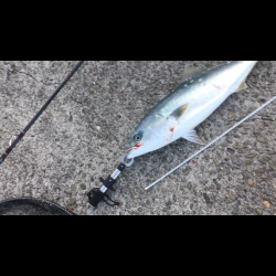 ２代目デビューでいきなり（笑）