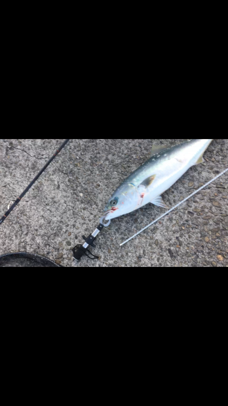 ２代目デビューでいきなり（笑）