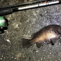 痛すぎマッキンα!!