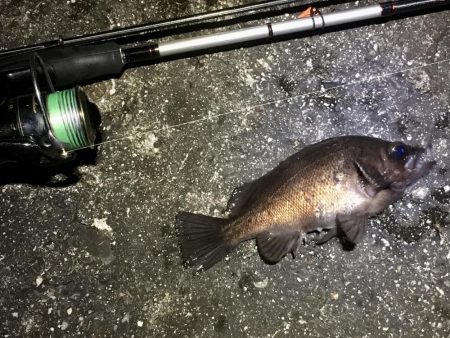 痛すぎマッキンα!!