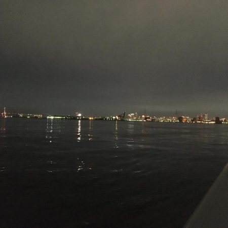 ライトゲーム最前線