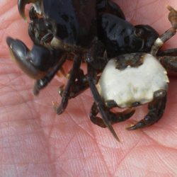 今行ってきました