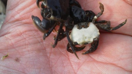 今行ってきました