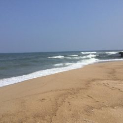 サゴシ釣れました