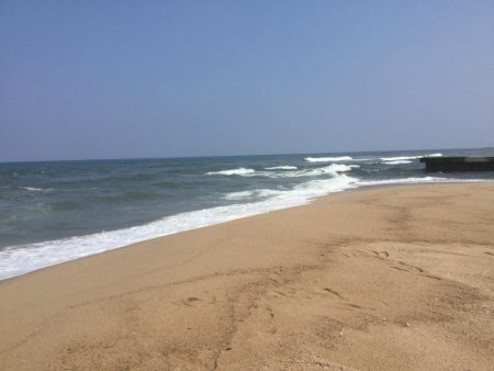 サゴシ釣れました