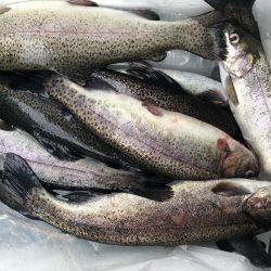 初めての管理釣り場