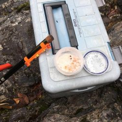 玉川　あまご 解禁