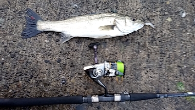 連発するものの・・