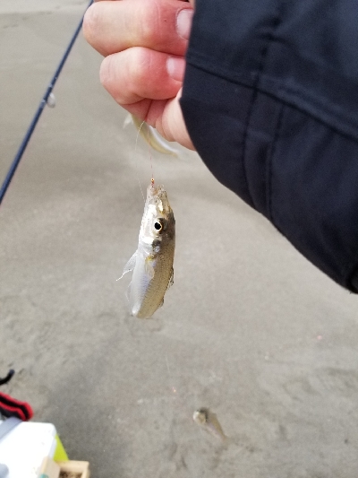 今年、初釣り‼️