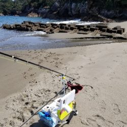 前回と同数でした！