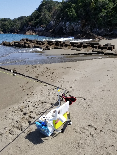 前回と同数でした！