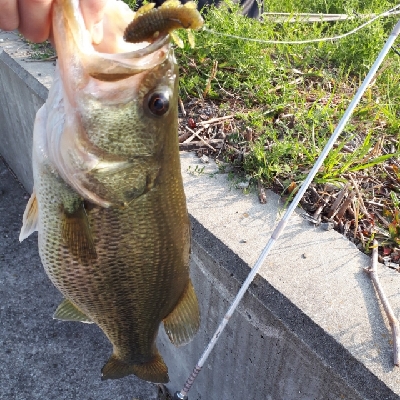 紀の川釣行！！