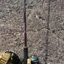 やっと釣れたー！