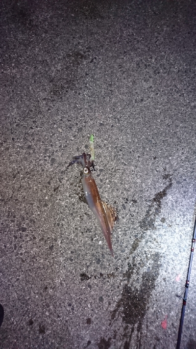 平日でも満員御礼