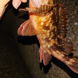 短時間入れ食い！