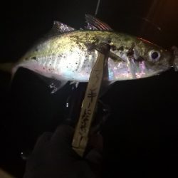 アジング 練習 119