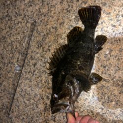 タケノコ狩り。