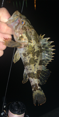 表層と思ったら底