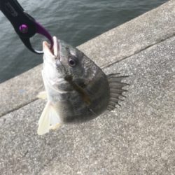 ダブルからの…