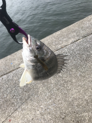 ダブルからの…