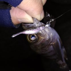 ナイトメバリング