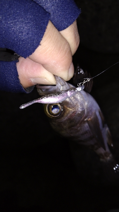 ナイトメバリング