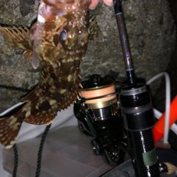 渋め小島養魚場