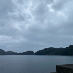 ライトショアジギング