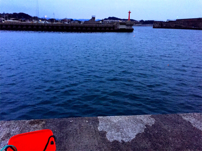 良形のアジが浮き釣りやアジングで釣れます